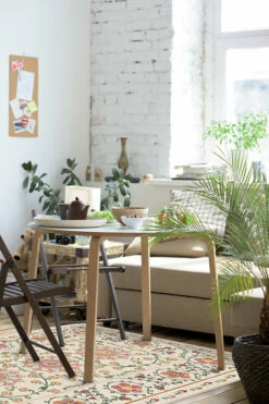 New 👍 Ruggable Suzani Coral Rug 🛒 -Area Rugs Sales Store Suzani Coral C RC 0030 57 Washable Rug Shabby Chic