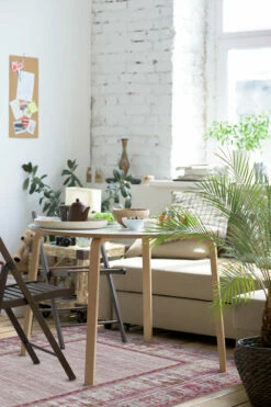 Best deal ๐งจ Ruggable Vintage Daisy Bordered Fuchsia Rug ๐ 11 Best deal ๐งจ Ruggable Vintage Daisy Bordered Fuchsia Rug ๐ -Area Rugs Sales Store Vintage Daisy Bordered Fucshia C RC RE131 57 Washable Rug Shabby Chic