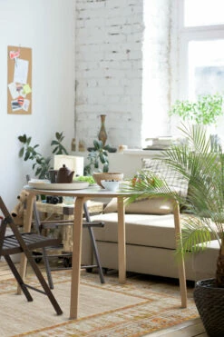 Coupon ❤️ Ruggable Vintage Daisy Bordered Tangerine Rug 🔔 -Area Rugs Sales Store Vintage Daisy Bordered Tangerine C RC RE130 57 Washable Rug Retro