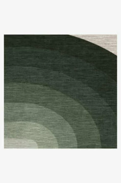 Cheapest 🎉 Ruggable Absida Sage Rug 🛒 -Area Rugs Sales Store absida sage D RC CB005 27 V2