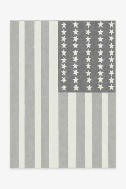 Top 10 😀 Ruggable American Flag Grey Rug 🤩