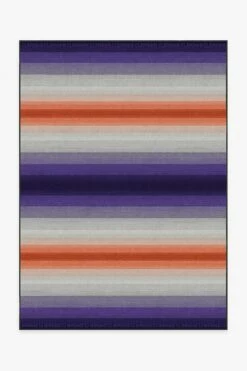 Best reviews of ⭐ Ruggable Clemson Ombre Stripe Rug 🤩