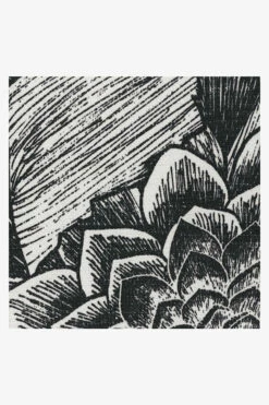 Buy 🔥 Ruggable Echeveria Black Rug 🔥 -Area Rugs Sales Store echeveria black D RC FF006 57