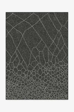 Hot Sale 🔥 Ruggable Kella Black Rug ✨