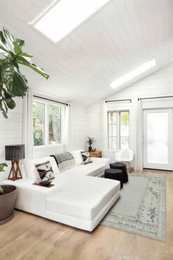 Wholesale 👍 Ruggable Lunja Border Yellow Grey Rug 👍 -Area Rugs Sales Store lunja border yellow grey C RC 0393 57