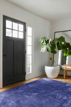 Best Sale 💯 Ruggable Azure Blue Plush Rug 👍 11 Best Sale 💯 Ruggable Azure Blue Plush Rug 👍 -Area Rugs Sales Store plush azure blue C RC WB010 57