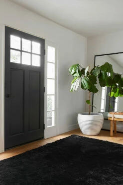 Hot Sale ⌛ Ruggable Ink Black Plush Rug 🔔 -Area Rugs Sales Store plush ink black C RC WB008 57