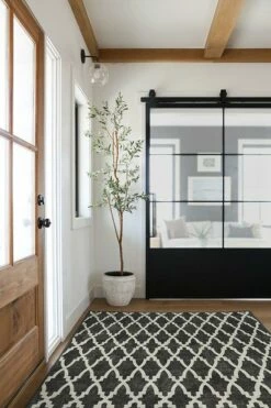 Best reviews of 😉 Ruggable Soraya Trellis Black Rug 🌟 -Area Rugs Sales Store soraya trellis black C RC CB015 57