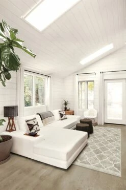 Coupon 🎁 Ruggable Terali Ash Grey Rug 🎁 -Area Rugs Sales Store terali ash grey C RC BS009 57 6ed1e8e6 5866 4de8 ab18 285a10afccf1